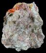 Bright Orange Wulfenite Crystals on Matrix - Rowley Mine, AZ #49375-1